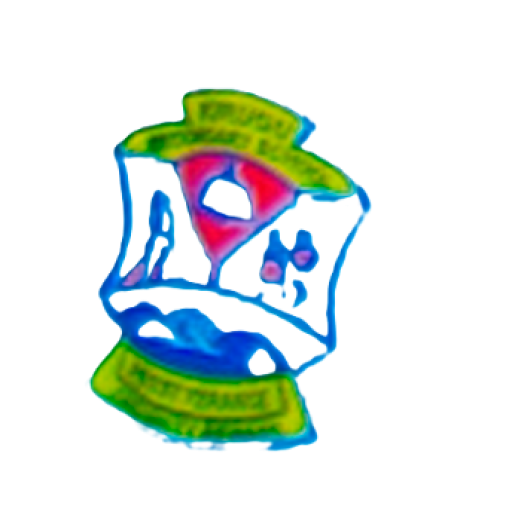 logo kirugu secondary school